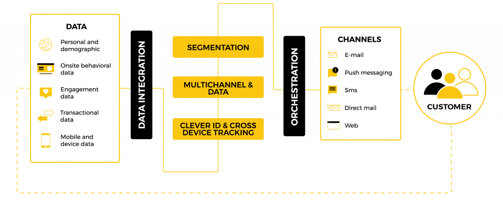 schema cdp | white rabbit